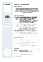 modelos de curriculum vitae en espaol. curriculum-vitae-modelo3a-azul